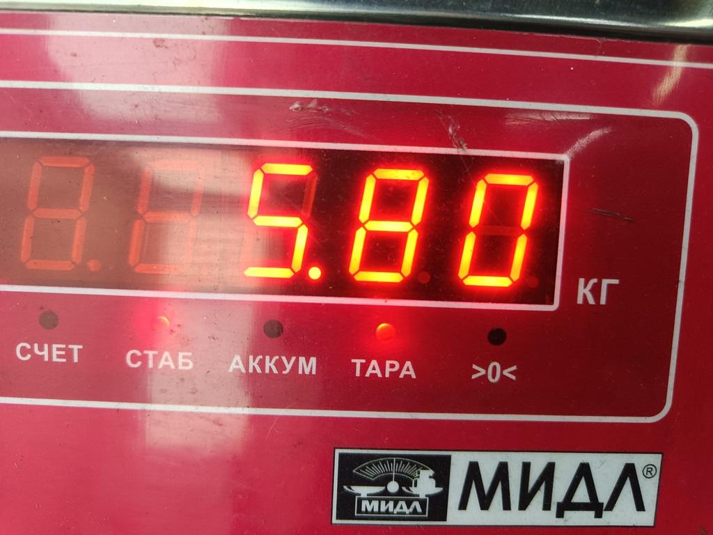 Генератор