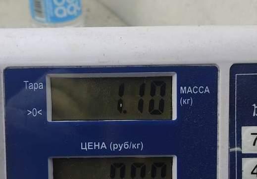 Моторчик стеклоочистителя задний