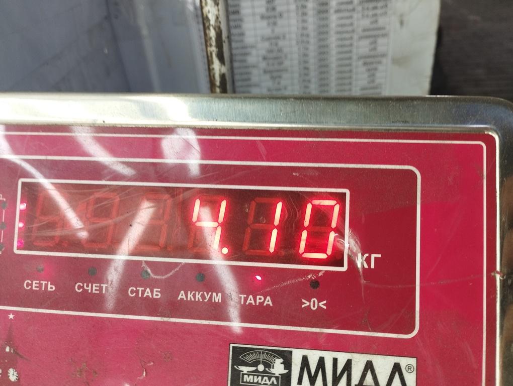 Ступица задняя